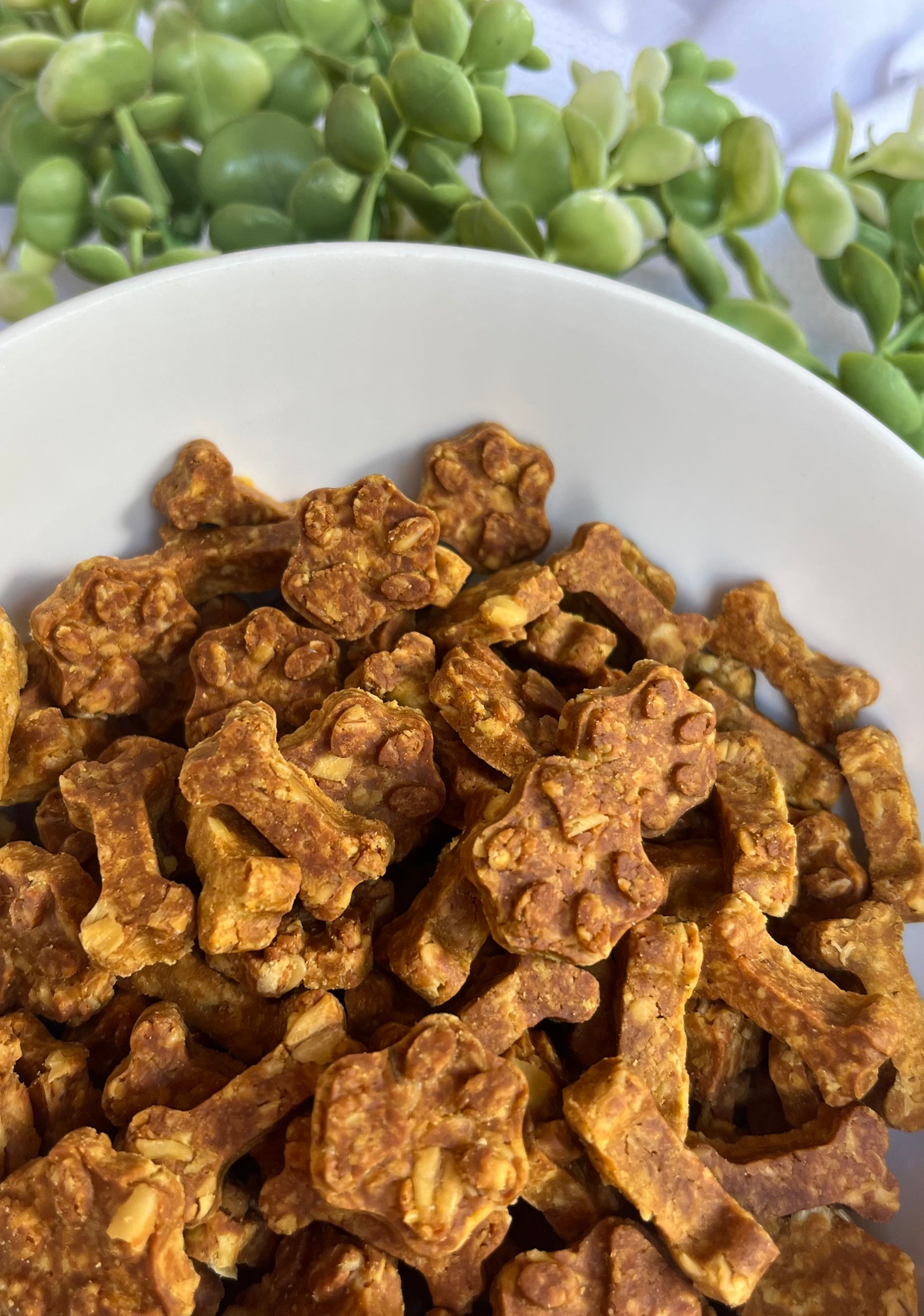 Puppy treats for training or for small dogs 80 small treats